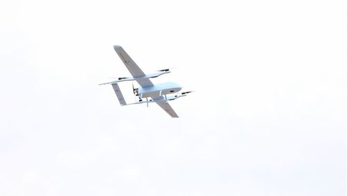 無人機(jī)“榆林造”邁向新高度 “長鶴”與“飛鶴”智能無人飛行器成功試飛